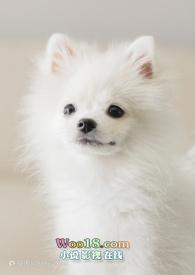 (快穿)骚气满满