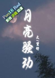 月亮骚动(py转正)作者望舒