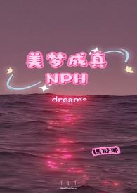 美梦成真 txt