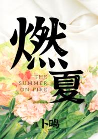 燃夏(1V1 H 破镜重圆)全文阅读
