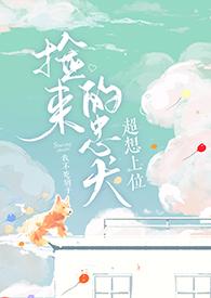 捡只忠犬来投喂全文阅读