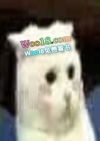 穿成一只猫雾惘