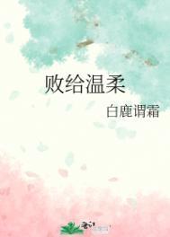 败给温柔内容