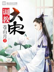 调教大宋 TXT
