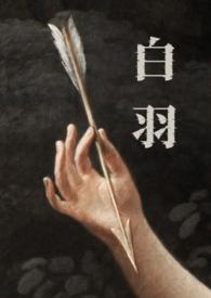 哪部主角叫白羽