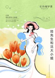 陆先生娶我全文免费阅读