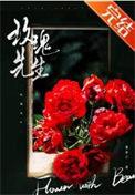 玫瑰先生在线阅读