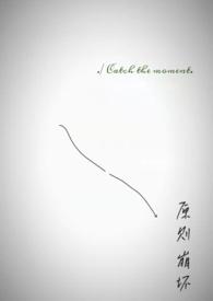 原则崩坏(1V1)在线阅读