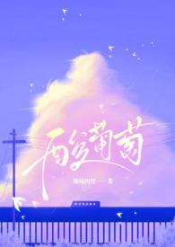 酸葡萄可以怎么做