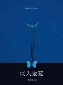 误入金笼讲什么