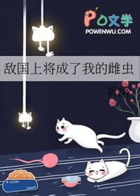 敌国将领受
