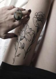 金丝雀多少块钱一只