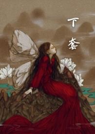下套全文