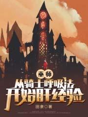 骑士在巫师世界的崛起