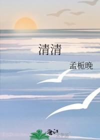清清转辅助