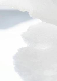 病娇校园游戏