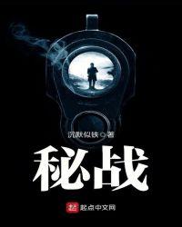 密战电视剧全集免费观看