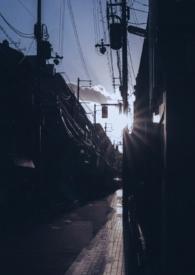 你是我的曙光po