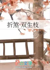 折枝(双xing)