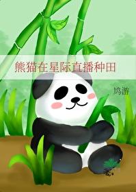 熊猫星际文