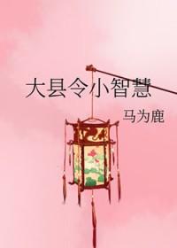 大县令小仵作简介