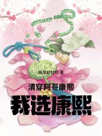 清穿阿哥的