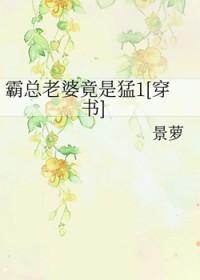 霸总宠妻之路全文免费