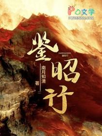 鉴昭行电视剧