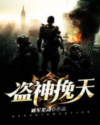 天盗神芒简介