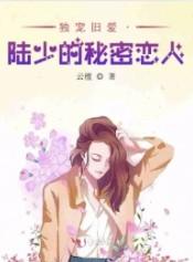 独宠旧爱陆少秘密全文