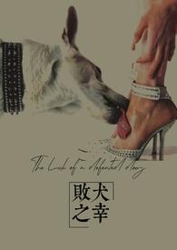 败犬是啥
