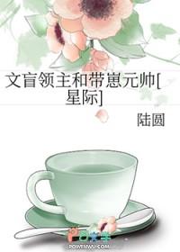 文盲是指什么
