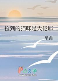 捡到一只猫的
