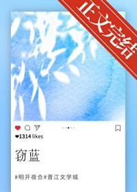 窃蓝歌词