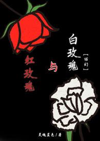 红玫瑰与白玫瑰简介