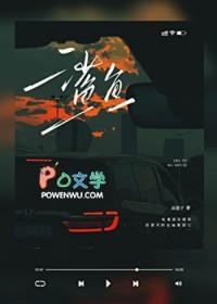 鲨鱼图片大全大图