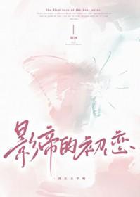 影帝的初恋娱乐圈