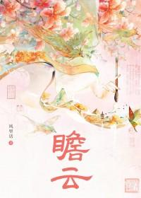 瞻云TXT百度