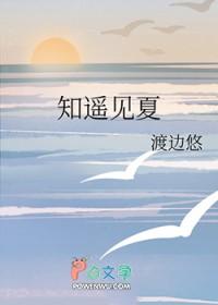 知遥见夏gl