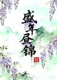 盛年年是哪部的人物