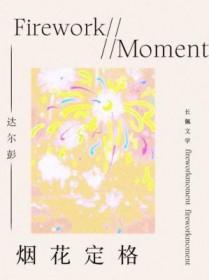定格的烟花