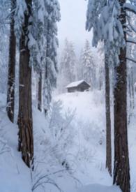 林场年度考核个人总结