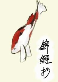 锦鲤抄 知乎