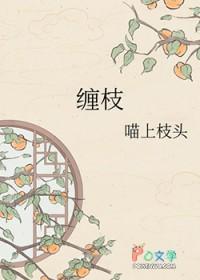 缠枝莲图案大全