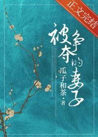 被争夺的妻子全文TXT