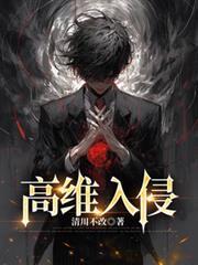 高维入侵七流