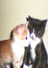 娇小姐回村免费阅读最新章节